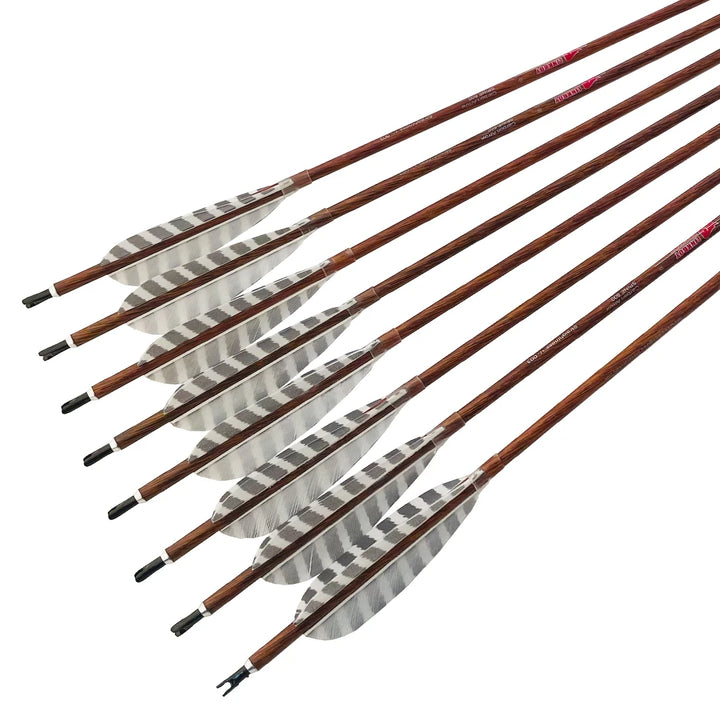 6 pcs Pure Carbon Arrows Spine 300 -900