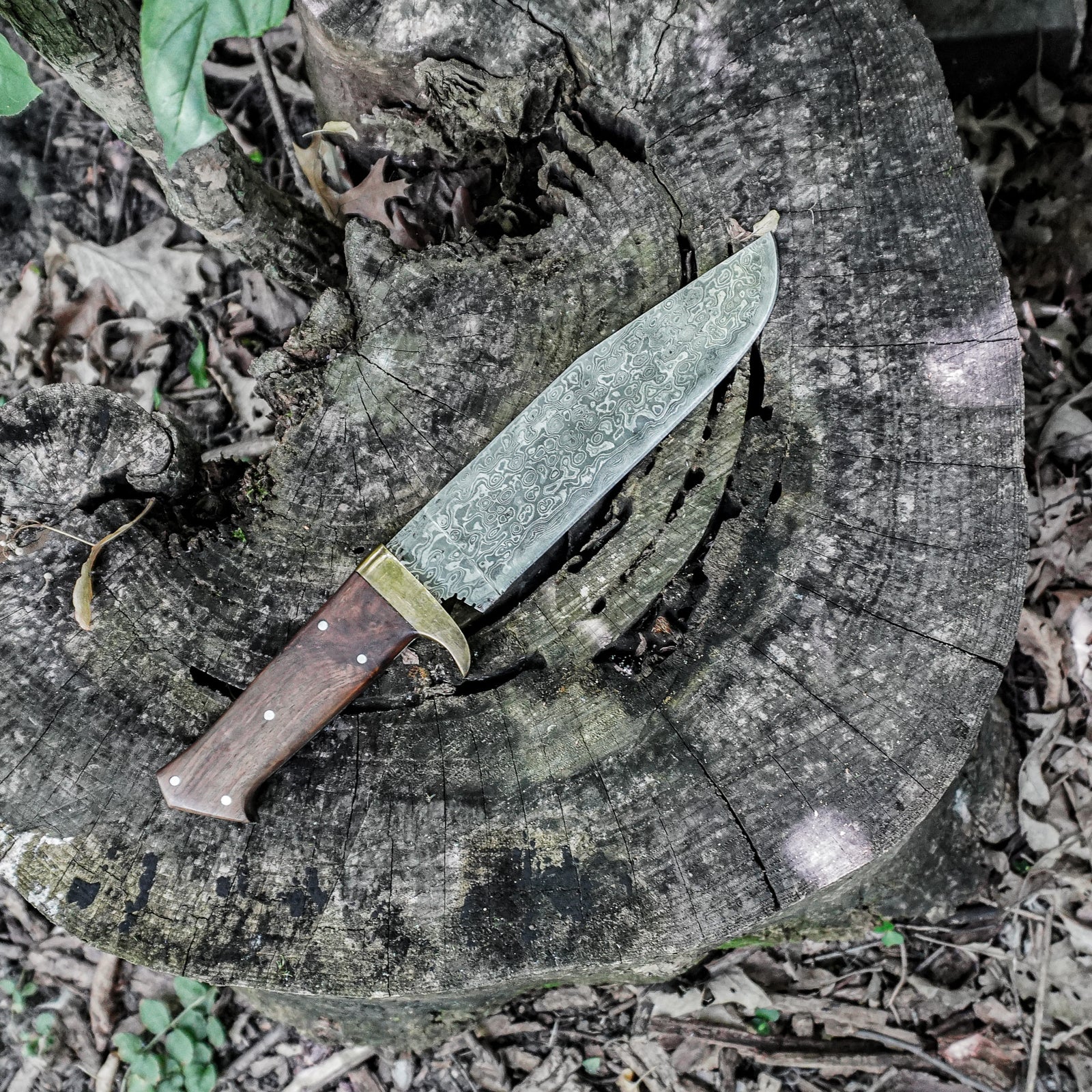 Bushcraft Knife- High Carbon Damascus Steel- 13" - Battling Blades