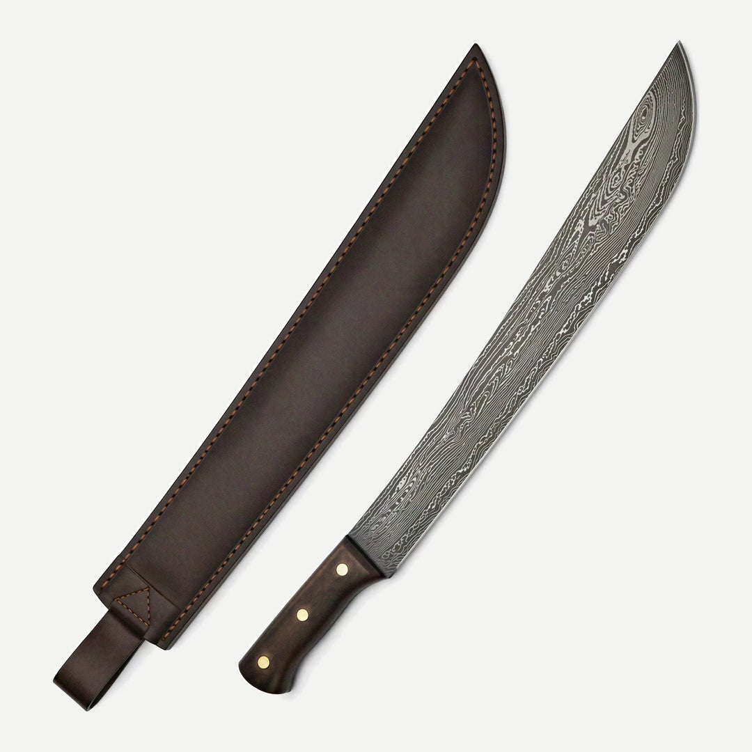 Latin with Sheath