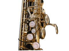 Alto Saxophone - Beginner Saxophone- Eb - Battling Blades