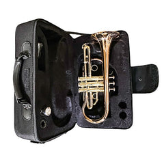 Cornet- Intermediate- Cupronickel Slide- Phosphor Copper- Bb - Battling Blades
