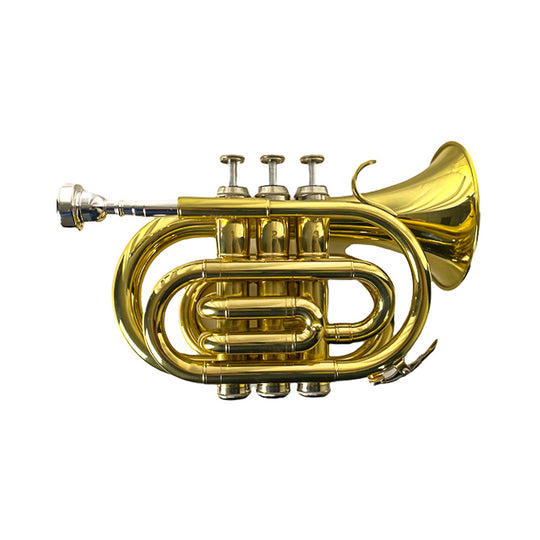 Pocket Trumpet- Beginner- Student Instrument- Gold Brass- Standard