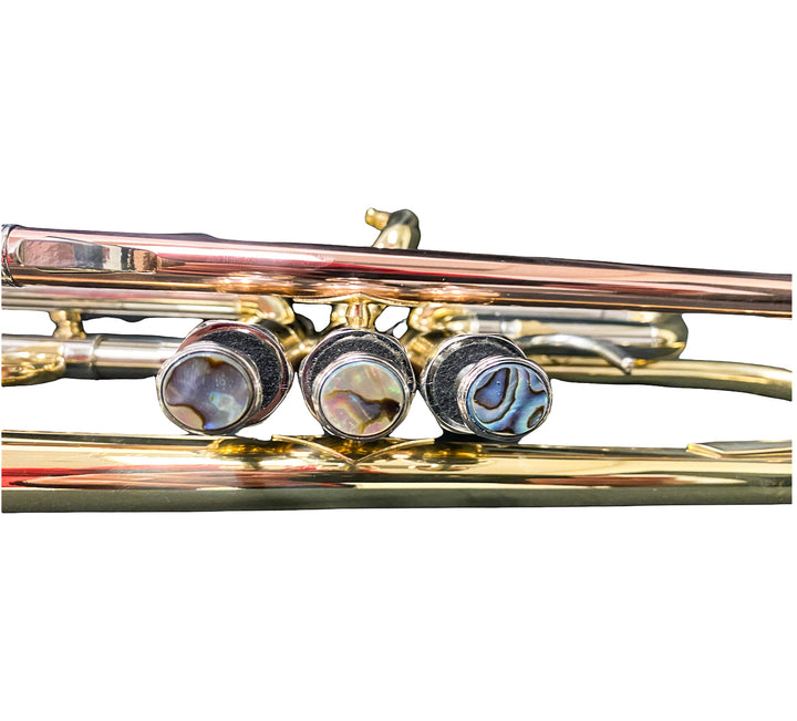Trumpet- Intermediate Trumpet- Gold Brass
