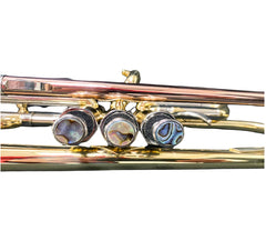 Trumpet- Intermediate Trumpet- Yellow Brass- Standard - Battling Blades