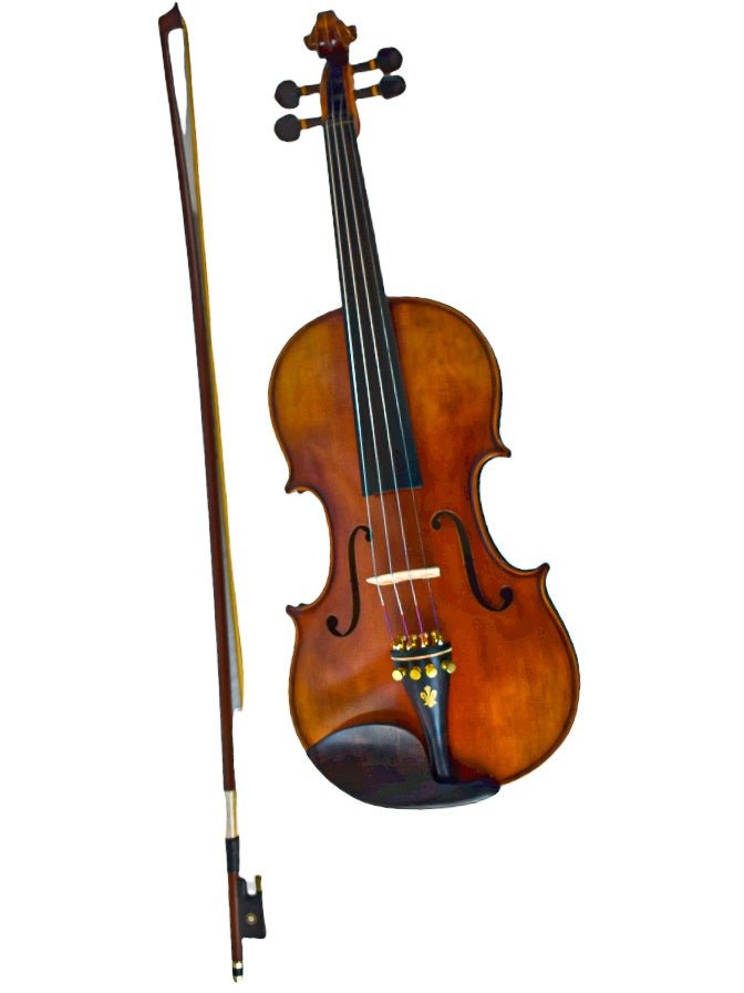 Professional Violin - Aged Solid Spruce and Flame Maple - Battling Blades