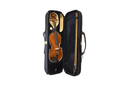 Intermediate Violin - Solid Spruce and Flame Maple - High Grade