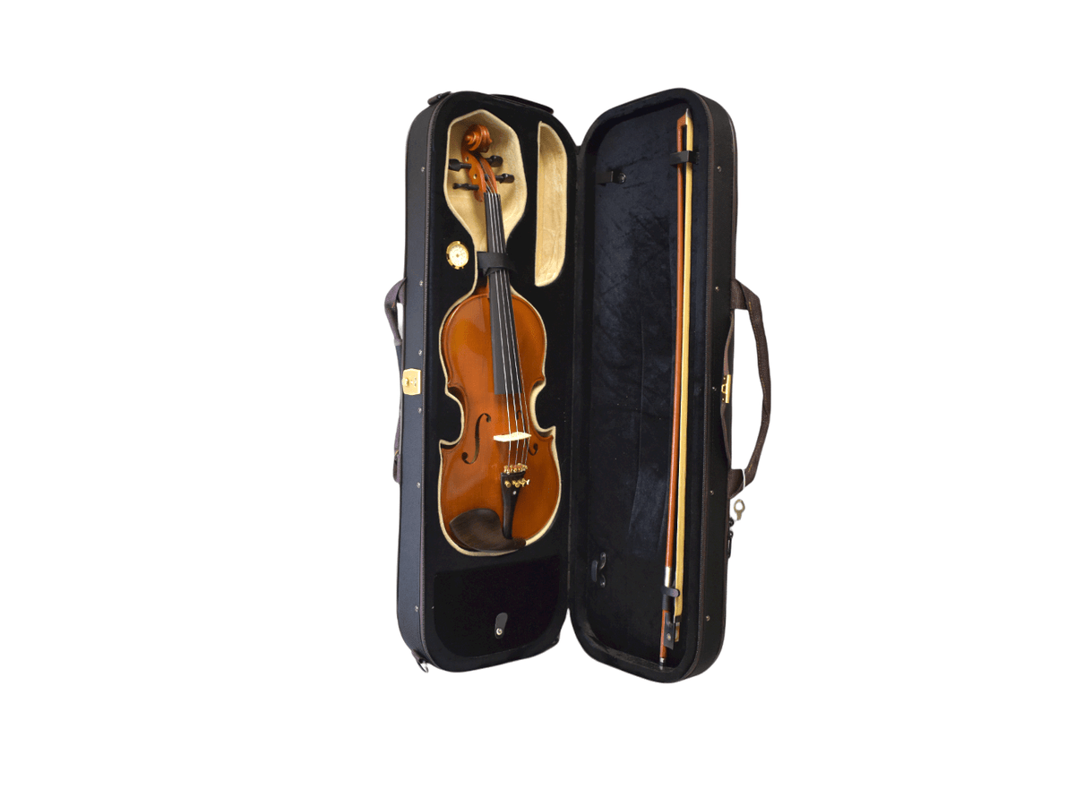 Intermediate Violin - Solid Spruce and Flame Maple - High Grade - Battling Blades