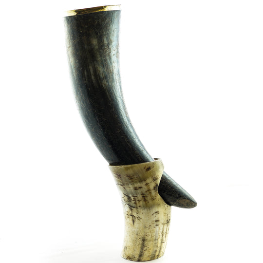 Viking Drinking Horn- Small with Horn Stand and Decorative Metal Rim- Buffalo Horn- 8 Fl Oz